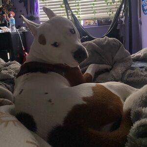 Meet your Posher, Elena